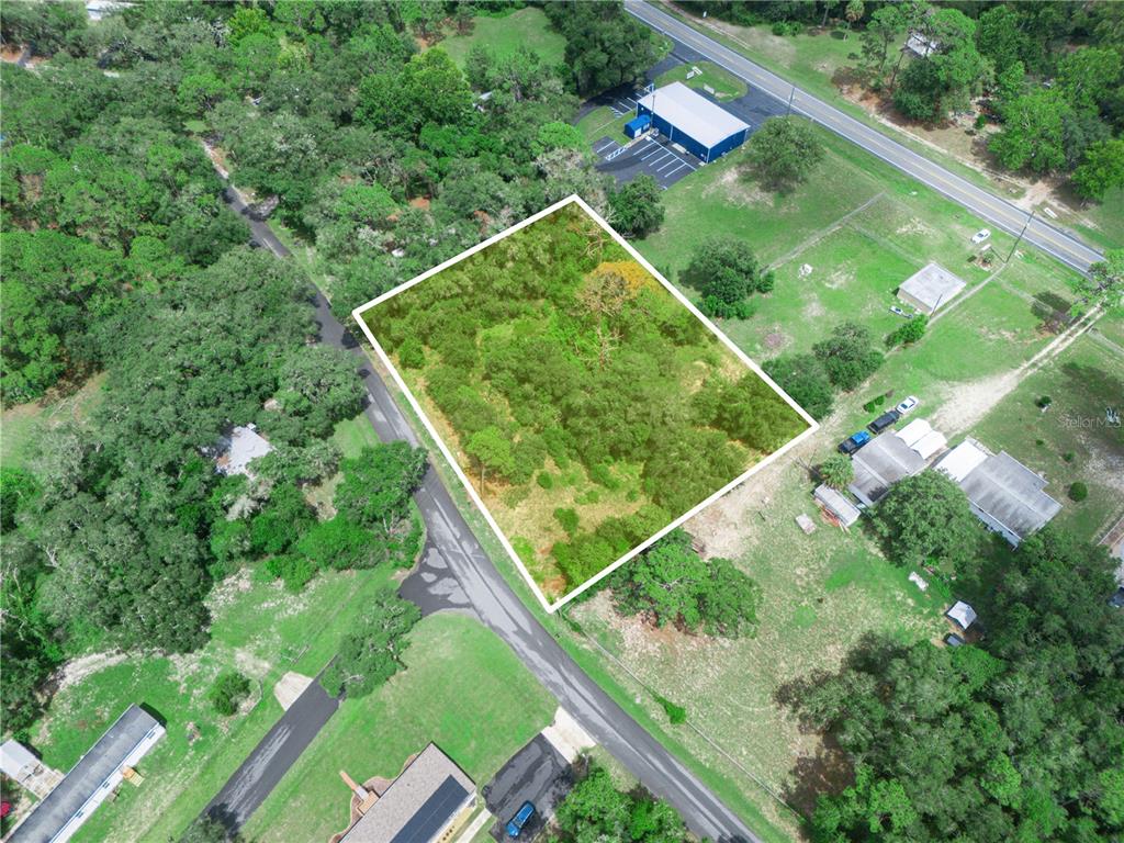 An aerial view shows a rectangular, wooded vacant lot outlined in white near a road — 7021 N PALMER WAY, HERNANDO, FL