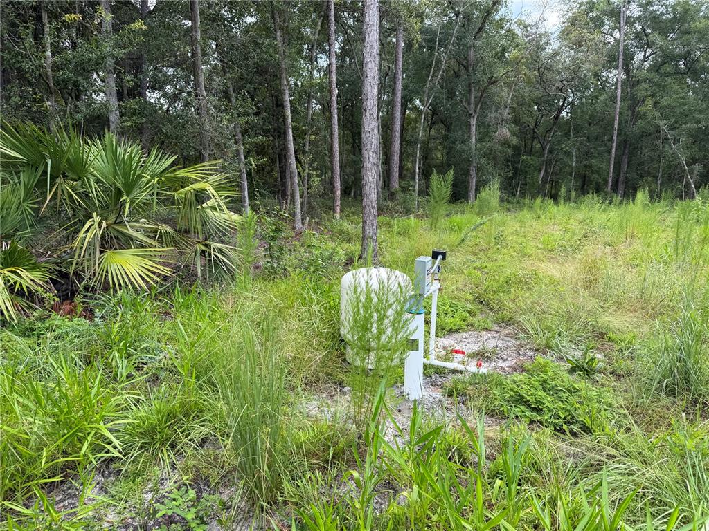 A water well pump and pressure tank sit in a grassy, wooded outdoor area — 106 JACKSON AVENUE, INTERLACHEN, FL