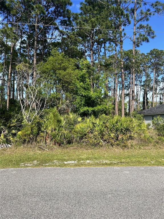 153 ULLIAN TRAIL