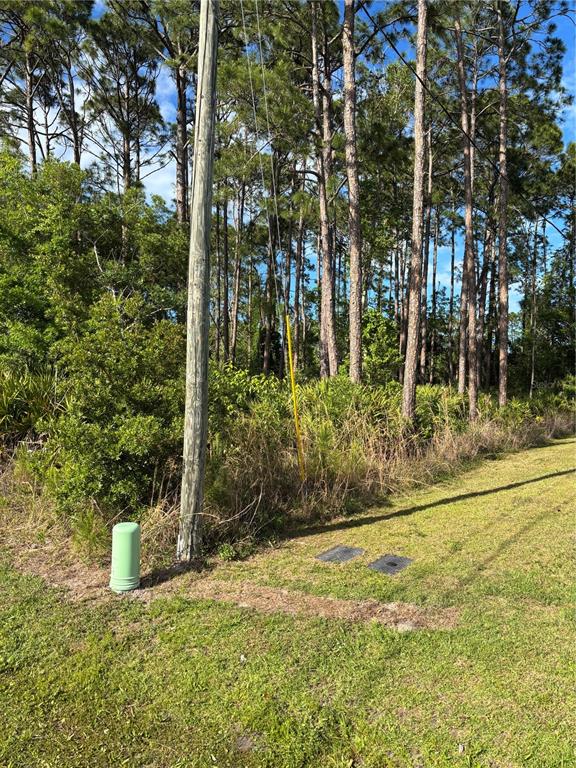 A utility pole and ground-level utility boxes stand in front of a wooded lot — 153 ULLIAN TRAIL, PALM COAST, FL
