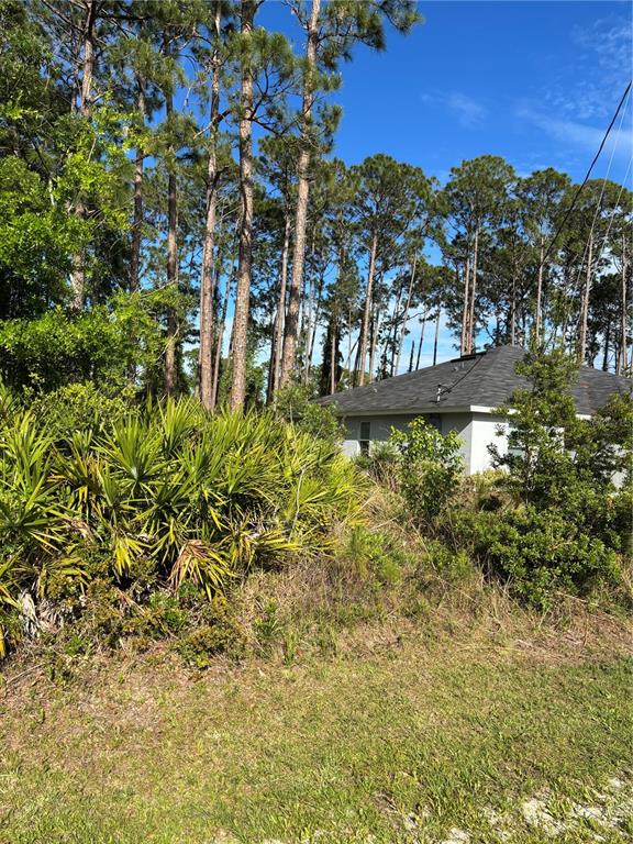 A house with a gray roof is partially obscured by dense trees and palmetto bushes — 153 ULLIAN TRAIL, PALM COAST, FL