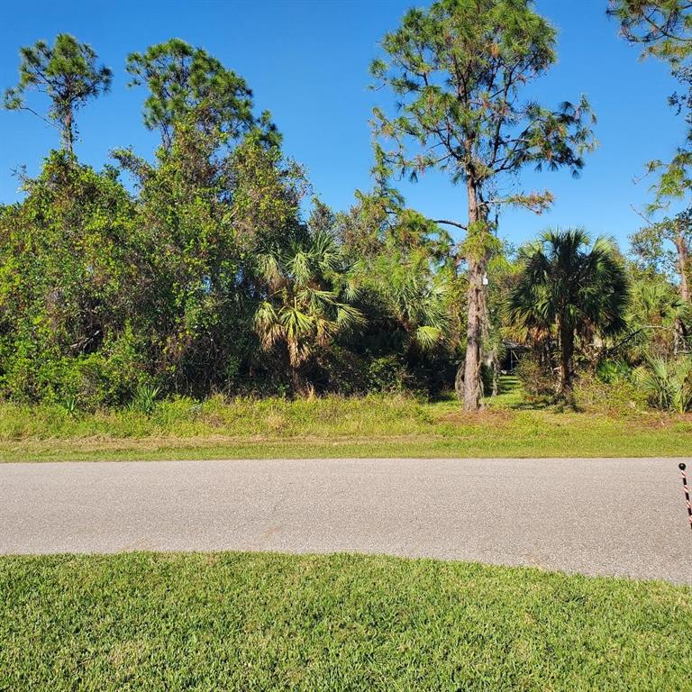 A paved road runs in front of a wooded lot with tall pine and palm trees — 17422 W YOUNG AVENUE E, PORT CHARLOTTE, FL