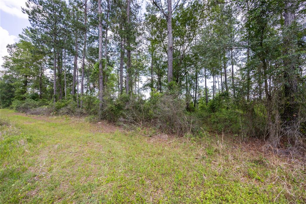 0 COUNTY ROAD 225, WALDO, FL — photo 2 of 18