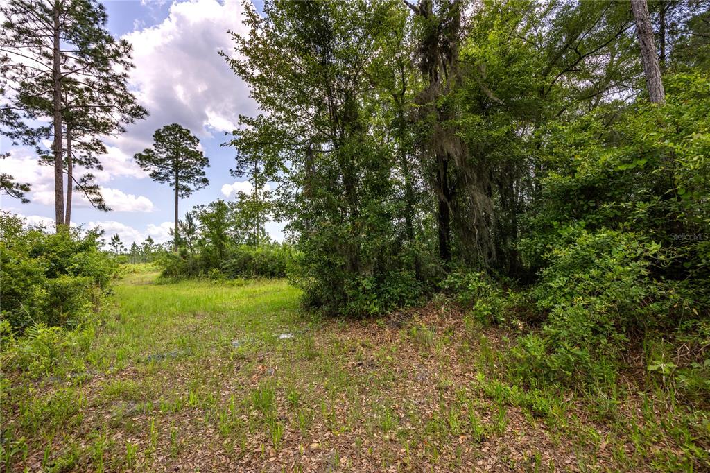 0 COUNTY ROAD 225, WALDO, FL — photo 4 of 18