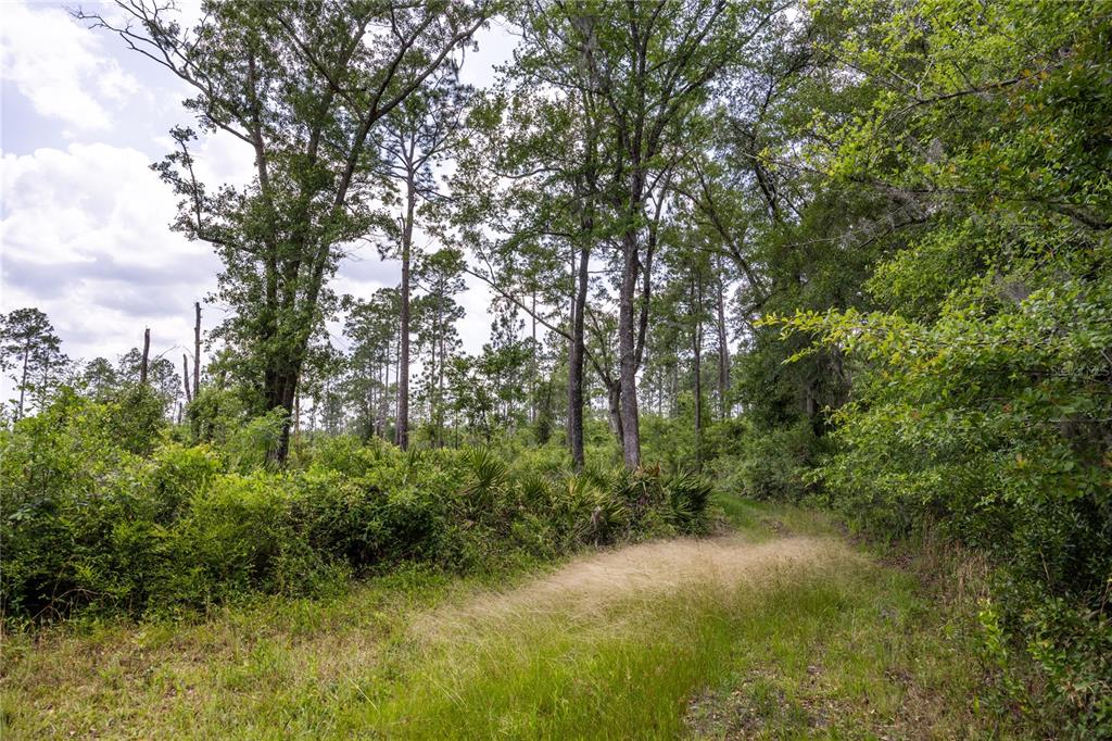 0 COUNTY ROAD 225, WALDO, FL — photo 5 of 18