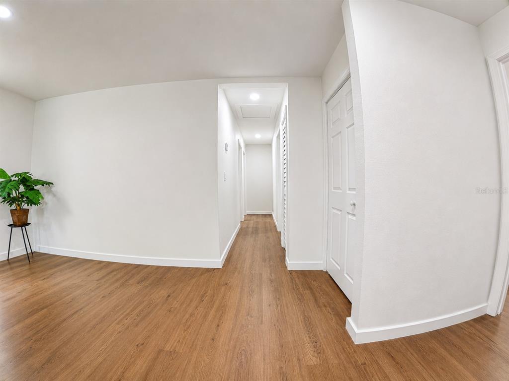 A hallway with wood-look flooring leads from a room with a potted plant — 9212 N BROOKS STREET, TAMPA, FL