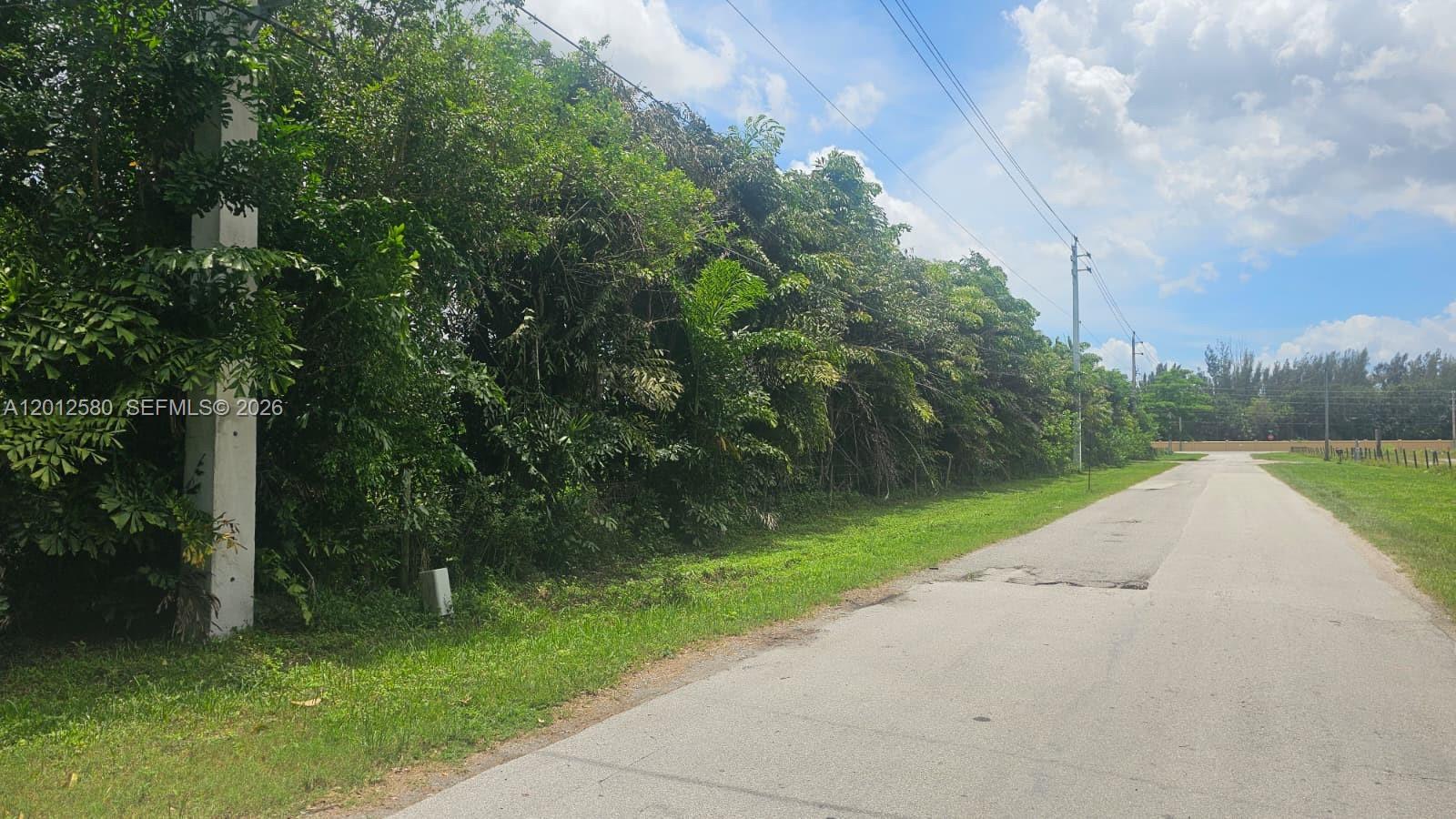 A paved road runs alongside a dense line of trees and utility poles — SW 210th TERRACE, Southwest Ranches FL 33332, SOUTHWEST RANCHES, FL