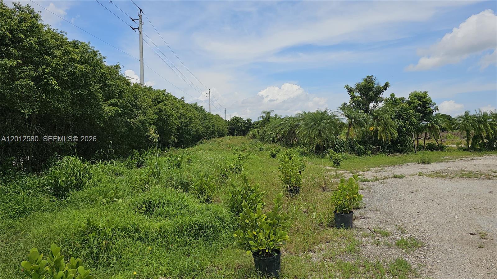 A gravel path runs alongside a grassy field with potted plants and dense trees — SW 210th TERRACE, Southwest Ranches FL 33332, SOUTHWEST RANCHES, FL