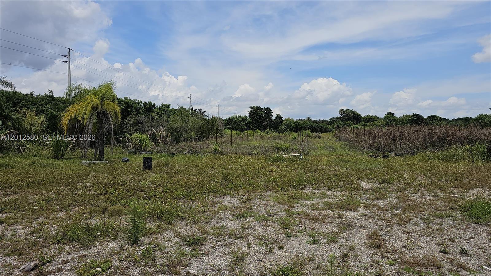 A vacant, grassy lot with a single palm tree under a cloudy blue sky — SW 210th TERRACE, Southwest Ranches FL 33332, SOUTHWEST RANCHES, FL