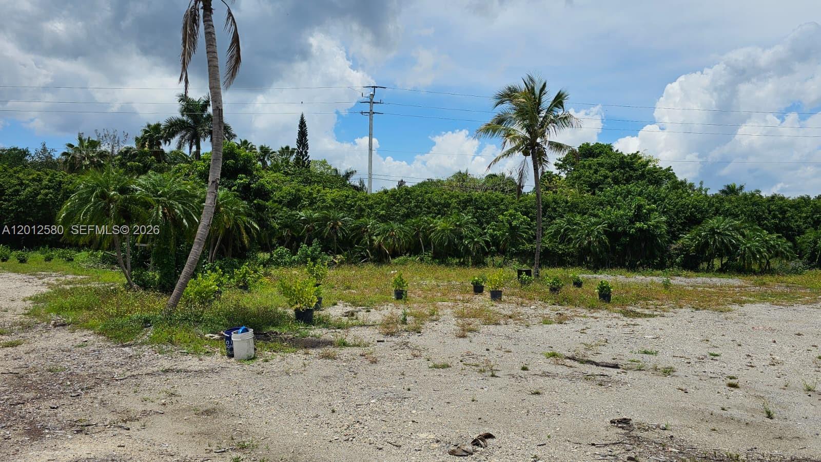 A flat, gravel-covered lot features scattered small potted plants and several mature palm trees — SW 210th TERRACE, Southwest Ranches FL 33332, SOUTHWEST RANCHES, FL