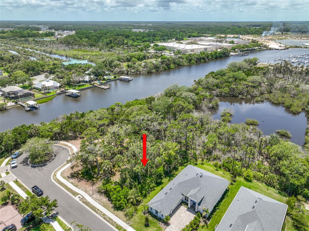 An aerial view shows a wooded residential lot marked by a red arrow near water — 300 S RIVERWALK DRIVE, PALM COAST, FL