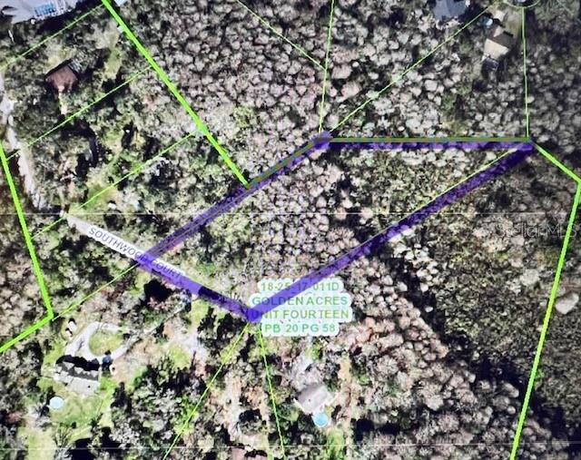 This is an aerial map showing a vacant, wooded lot outlined in purple — 0 SOUTHWOOD COURT, NEW PORT RICHEY, FL