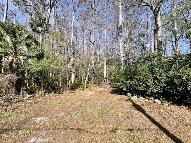 A dirt path leads into a wooded area with tall trees and dense vegetation — 0 SOUTHWOOD COURT, NEW PORT RICHEY, FL