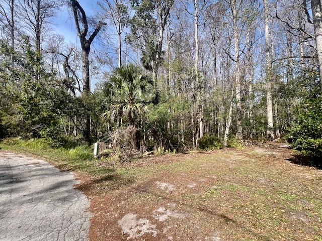 A paved road leads to a wooded lot with tall trees and a palm tree — 0 SOUTHWOOD COURT, NEW PORT RICHEY, FL
