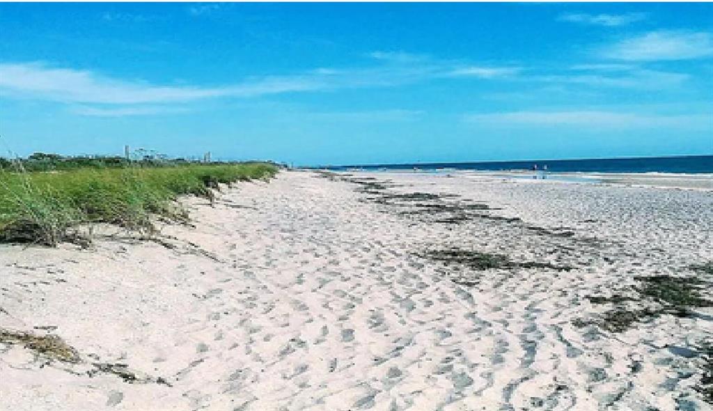 A sandy beach stretches along the coastline with dunes covered in green grass — COPERNICUS ROAD, NORTH PORT, FL