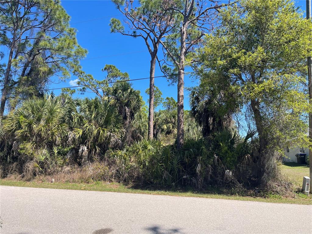 A paved road runs in front of a wooded lot with tall pine trees — Lot 17 ALLEGHENY LANE, NORTH PORT, FL