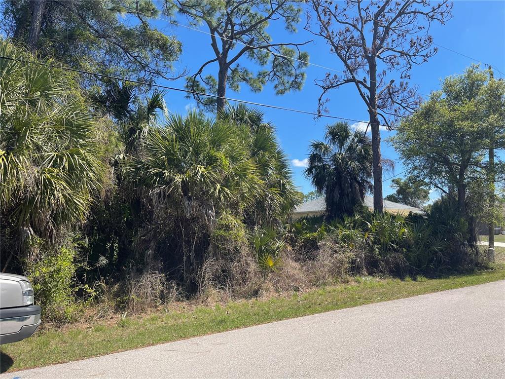 A vacant, wooded lot with palm trees and dense vegetation sits beside a paved road — Lot 17 ALLEGHENY LANE, NORTH PORT, FL