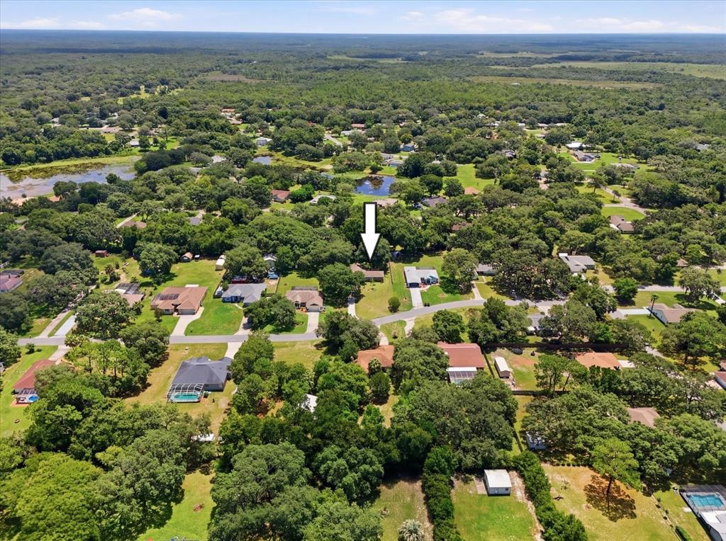 An aerial view shows a residential neighborhood with houses surrounded by many trees and greenery — 3103 S BAY BERRY POINT, INVERNESS, FL