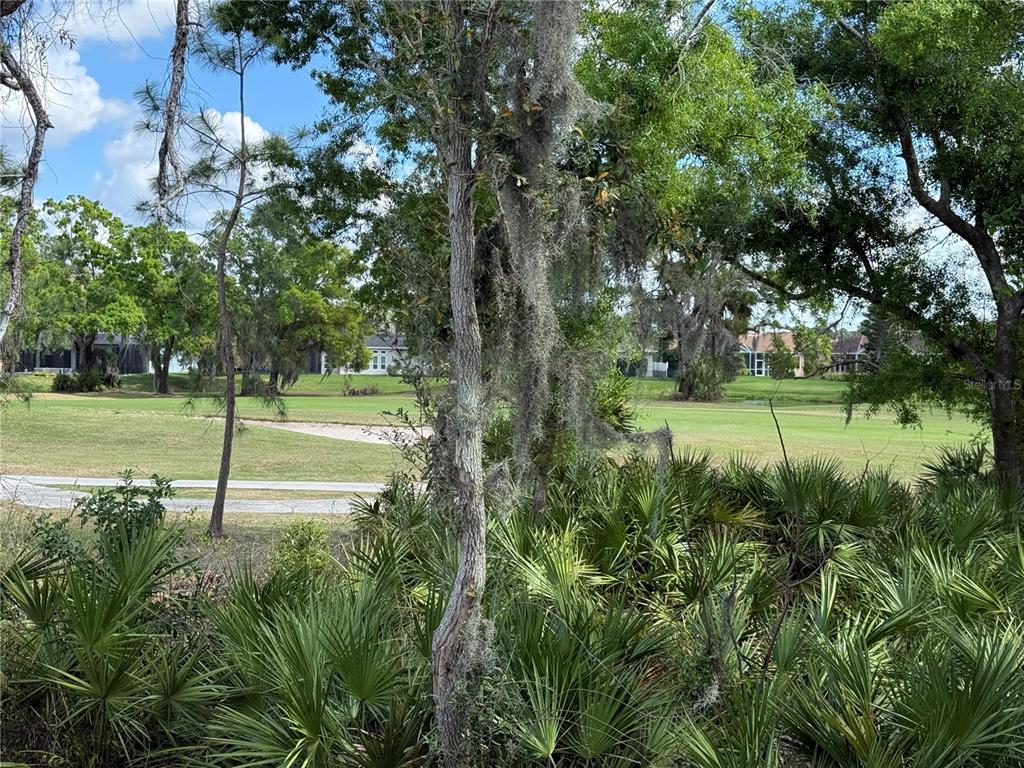 A view of a golf course fairway framed by trees and saw palmetto bushes — 3695 NANDINA CIRCLE, SUN CITY CENTER, FL
