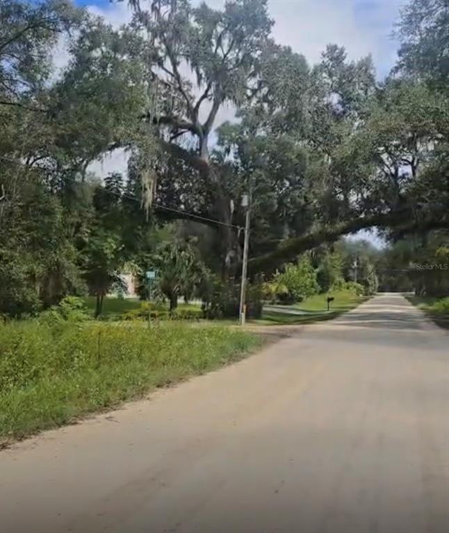 A dirt road leads past a large, moss-draped oak tree in a wooded residential area — SW 137 AVE, DUNNELLON, FL