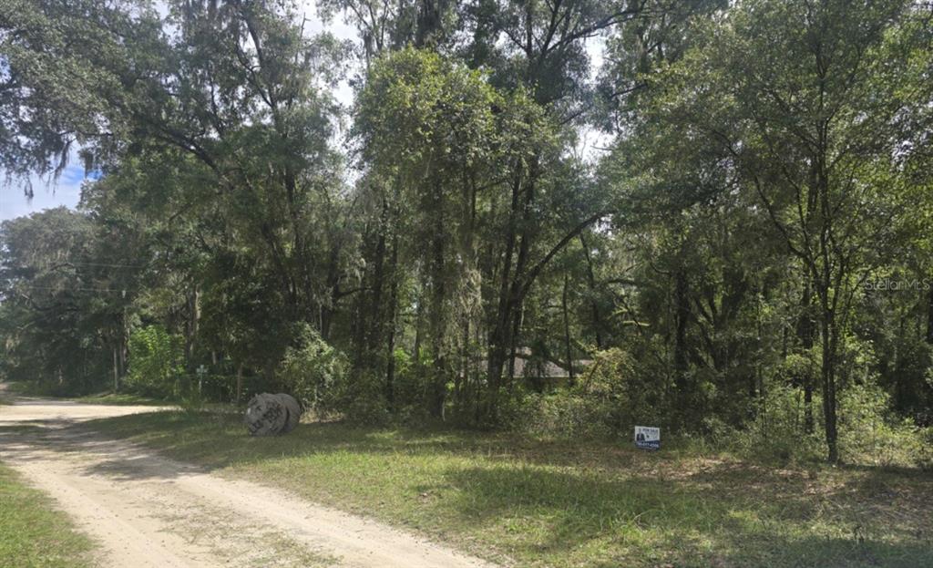A dirt road runs alongside a wooded lot with a for sale sign — SW 137 AVE, DUNNELLON, FL