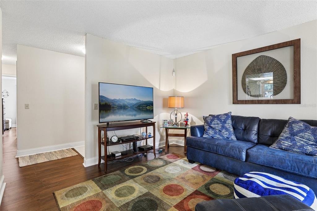 A living room features a blue sofa, a television on a stand, and a patterned rug — 9902 TURF WAY UNIT 6, ORLANDO, FL