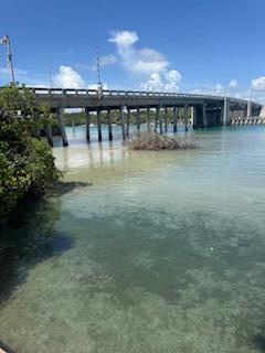 A concrete bridge spans across clear, shallow water with a small patch of brush nearby — 225 S Beach Road Unit 205, Jupiter FL 33469, JUPITER, FL