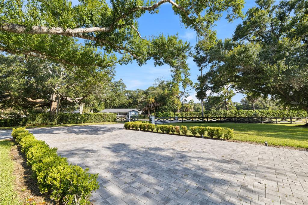 A white house with a black roof and a large paved driveway under oak trees — 900 W PLANT STREET, WINTER GARDEN, FL