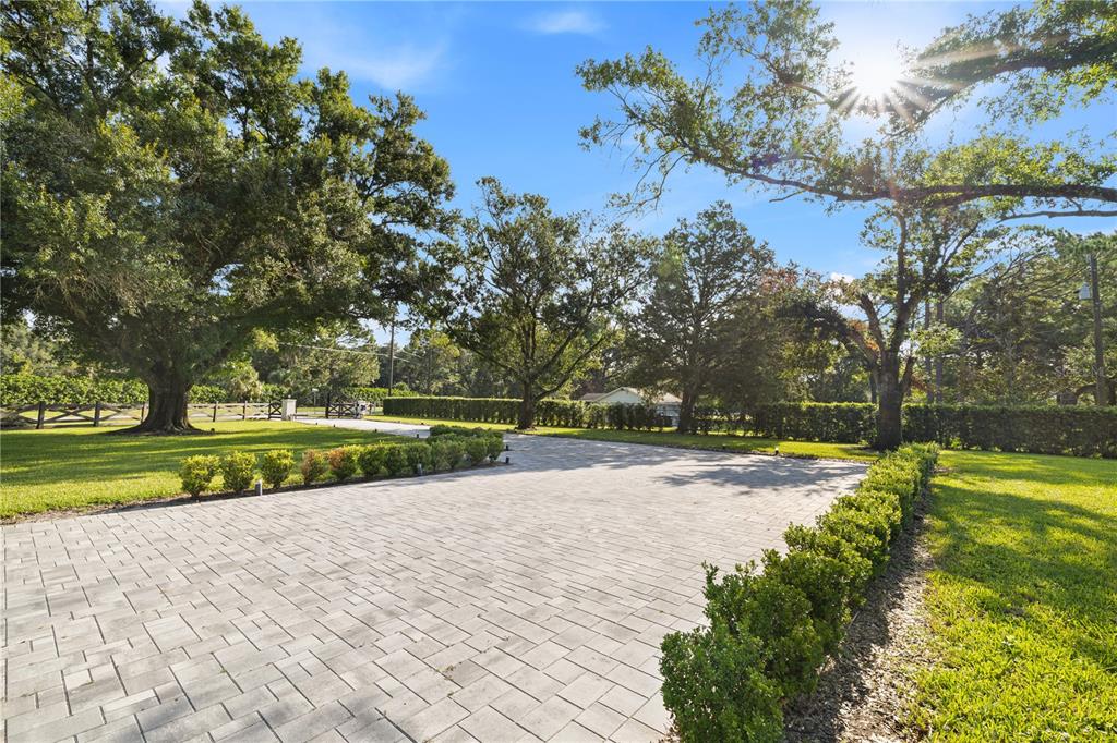A paved driveway leads toward a gated entrance surrounded by mature trees and manicured hedges — 900 W PLANT STREET, WINTER GARDEN, FL
