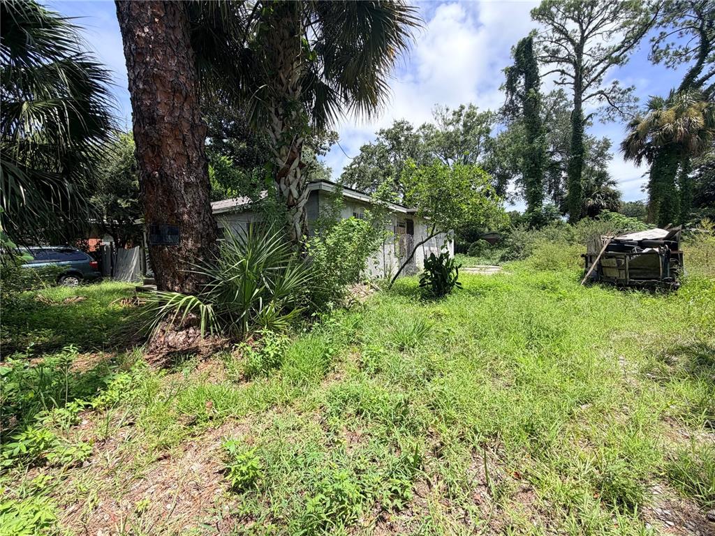 A small, weathered house sits on an overgrown lot with tall trees and a trailer — 925 NILES STREET, DAYTONA BEACH, FL