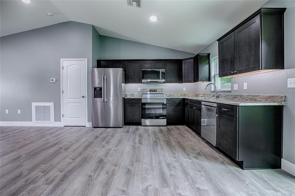 A kitchen with dark cabinets, stainless steel appliances, and gray wood-look flooring — 557 COUNTY ROAD 487, LAKE PANASOFFKEE, FL