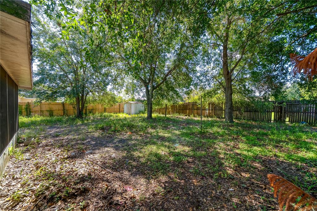 A grassy backyard features several large trees, a small storage shed, and a wooden fence — 2913 KEESLER STREET, DELTONA, FL