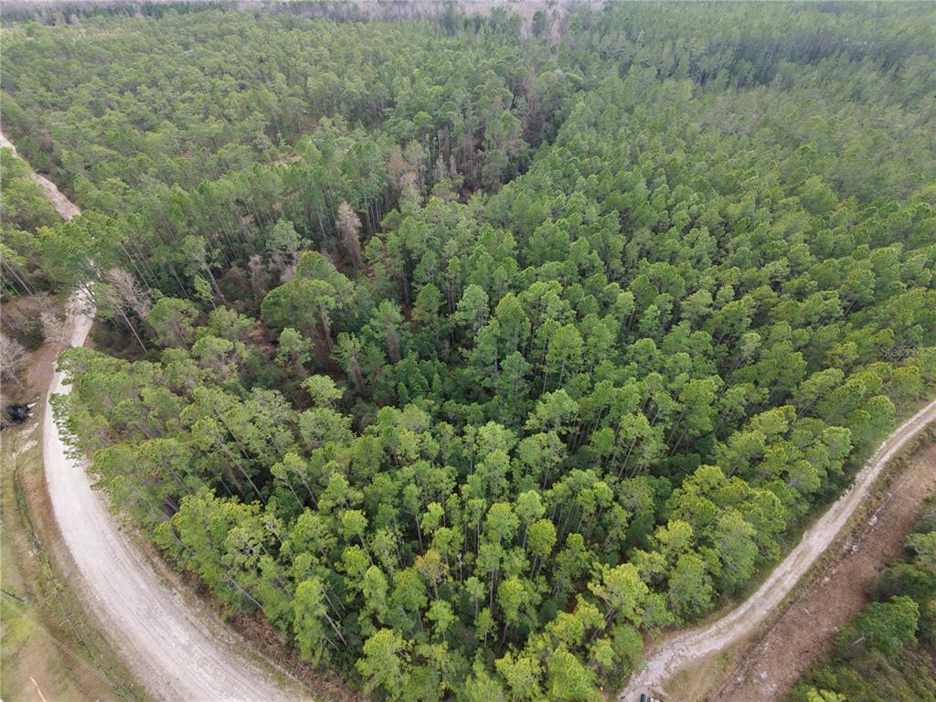 An aerial view shows a dense forest bordered by dirt roads on two sides — NE NE 130 CT RD, FORT MC COY, FL