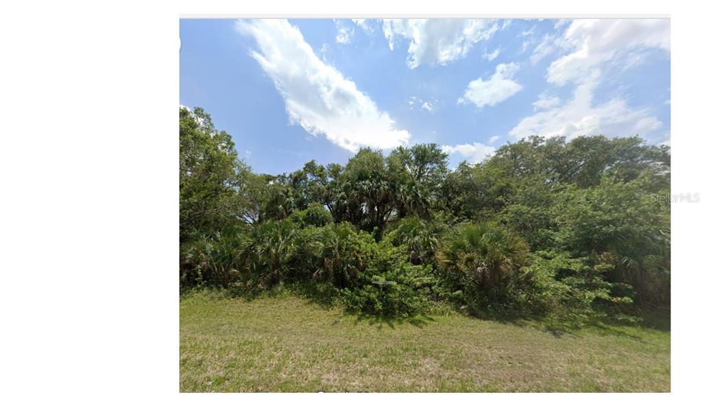 A grassy lot features dense trees and palmetto bushes under a bright blue sky — MARCH LANE, LABELLE, FL