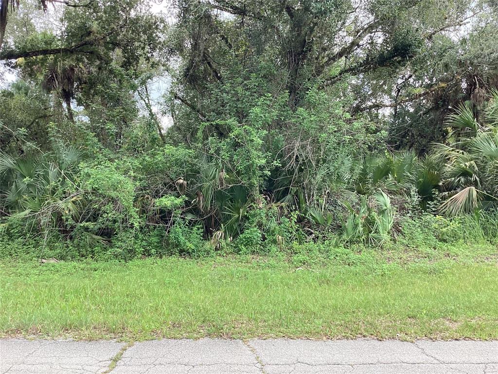 MARCH LANE, LABELLE, FL — photo 5 of 10