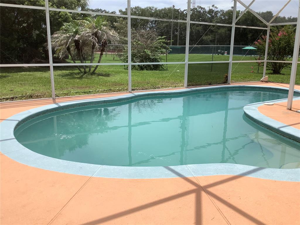 A swimming pool with a light blue border is enclosed by a screened-in lanai — 665 STEVELYNN CIRCLE, WINTER GARDEN, FL
