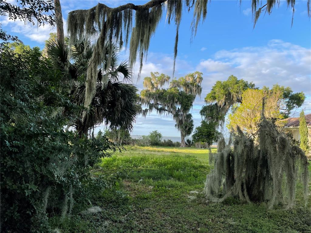 A grassy lot features mature trees draped in Spanish moss with a view of water — 716 NEWELL HILL RD, LEESBURG, FL