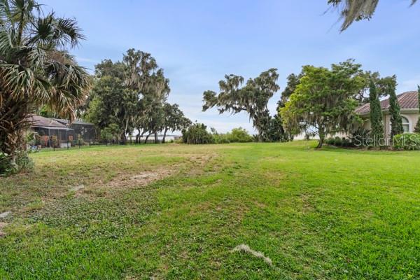 A large, grassy vacant lot is bordered by trees and neighboring houses under a blue sky — 716 NEWELL HILL RD, LEESBURG, FL