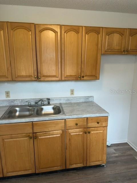 A kitchen features light wood cabinets, a double-basin stainless steel sink, and laminate countertops — 3648 MOUNT TABOR ROAD, LAKELAND, FL