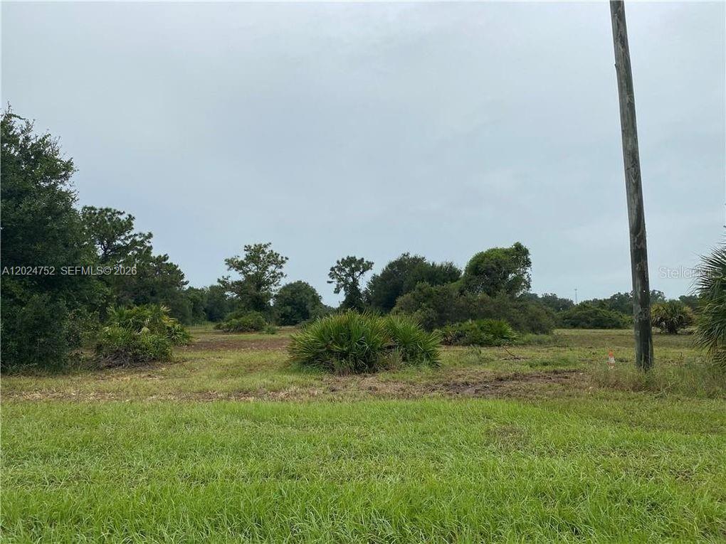 A grassy, partially cleared lot features scattered shrubs and trees under an overcast sky — 1525 N HIGHWAY 17, Unincorporated Dade County FL 34266, UNINCORPORATED DADE COUNTY, FL