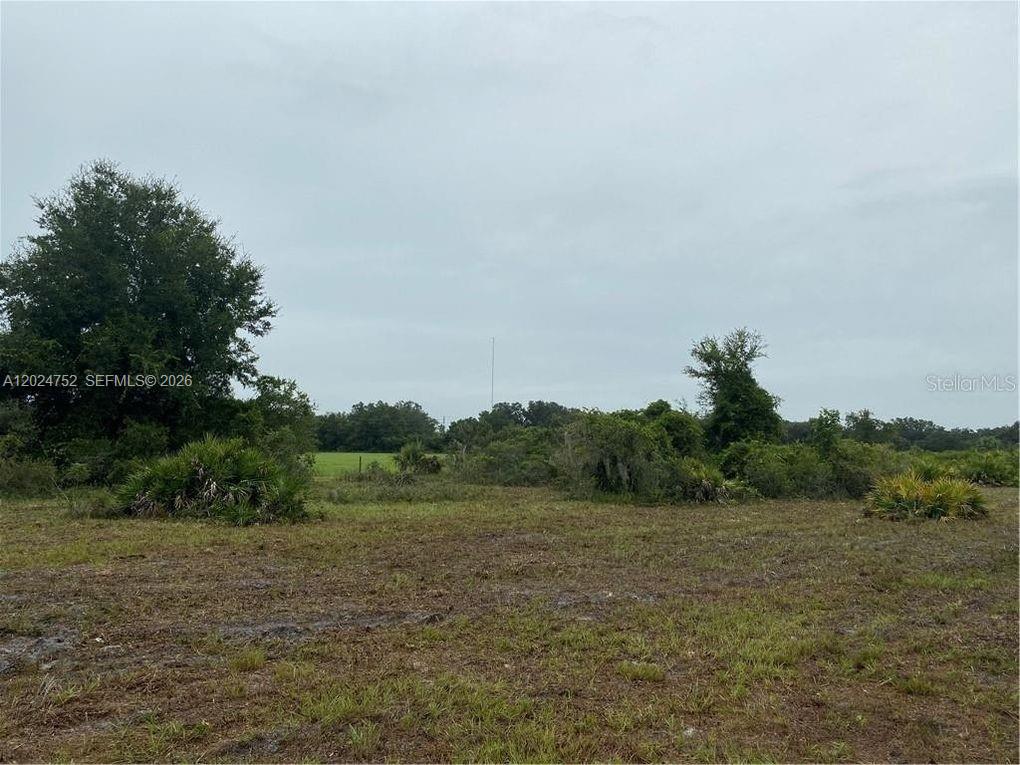 A grassy, undeveloped lot features scattered trees and shrubs under an overcast sky — 1525 N HIGHWAY 17, Unincorporated Dade County FL 34266, UNINCORPORATED DADE COUNTY, FL