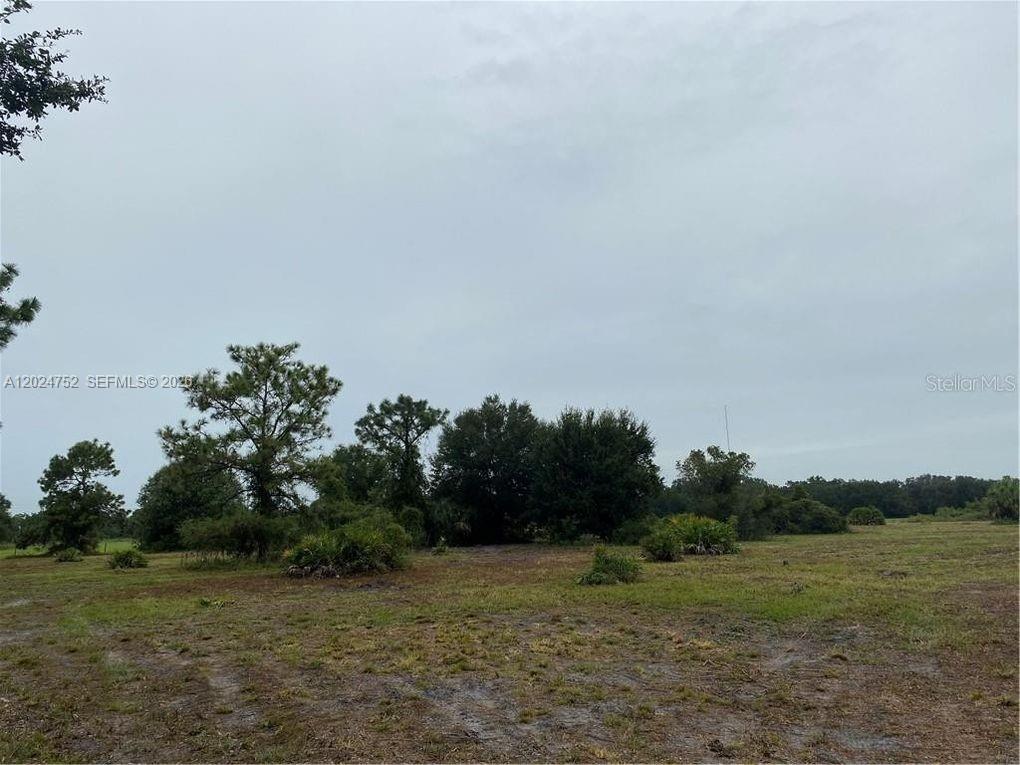 A grassy, open field with scattered trees under an overcast sky — 1525 N HIGHWAY 17, Unincorporated Dade County FL 34266, UNINCORPORATED DADE COUNTY, FL