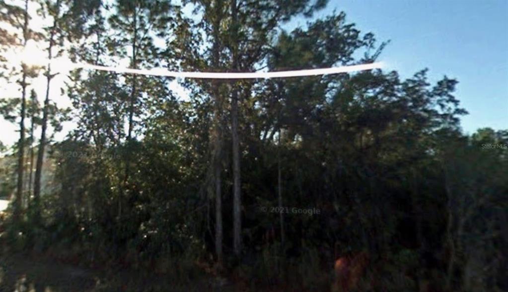 A dense cluster of trees and vegetation stands under a bright, sunny sky — 23105 NEWCUN AVENUE, PUNTA GORDA, FL