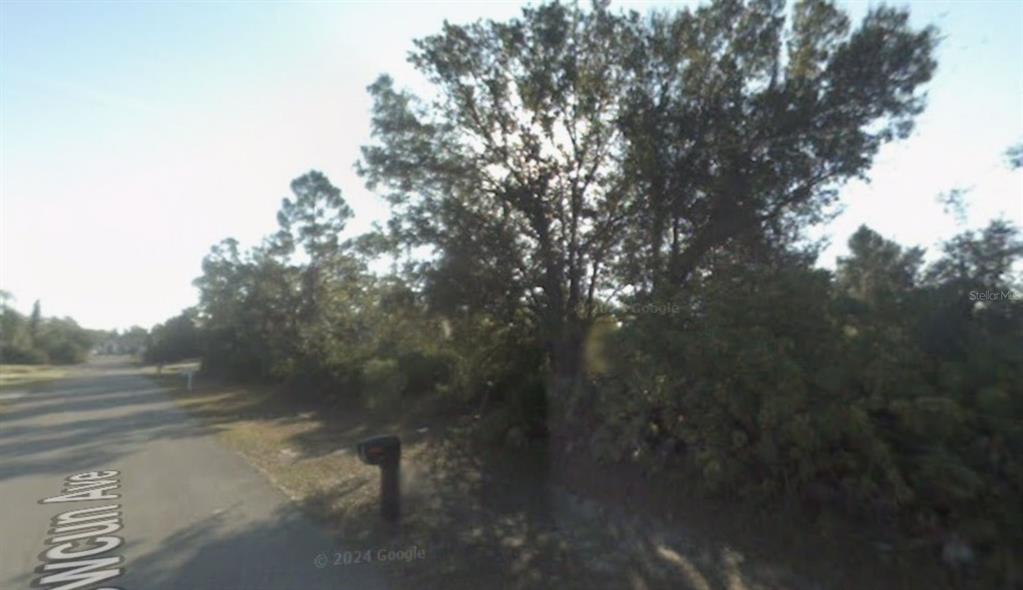 A paved road runs alongside a wooded lot with a mailbox in the foreground — 23105 NEWCUN AVENUE, PUNTA GORDA, FL