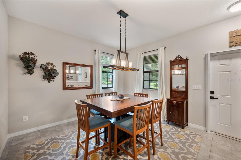 A dining room features a wooden table, four chairs, a chandelier, and a tall hutch — 17616 TERRAZZO WAY, LAND O LAKES, FL