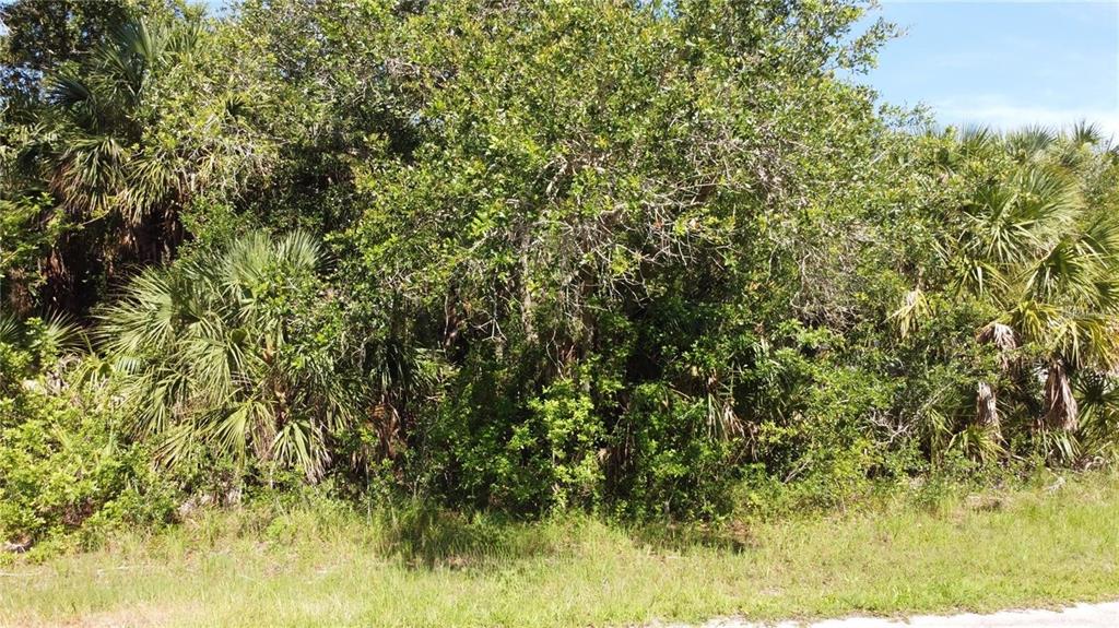 A dense thicket of trees and palmettos grows on a vacant, undeveloped plot of land — 3507 JOWETT STREET, PORT CHARLOTTE, FL