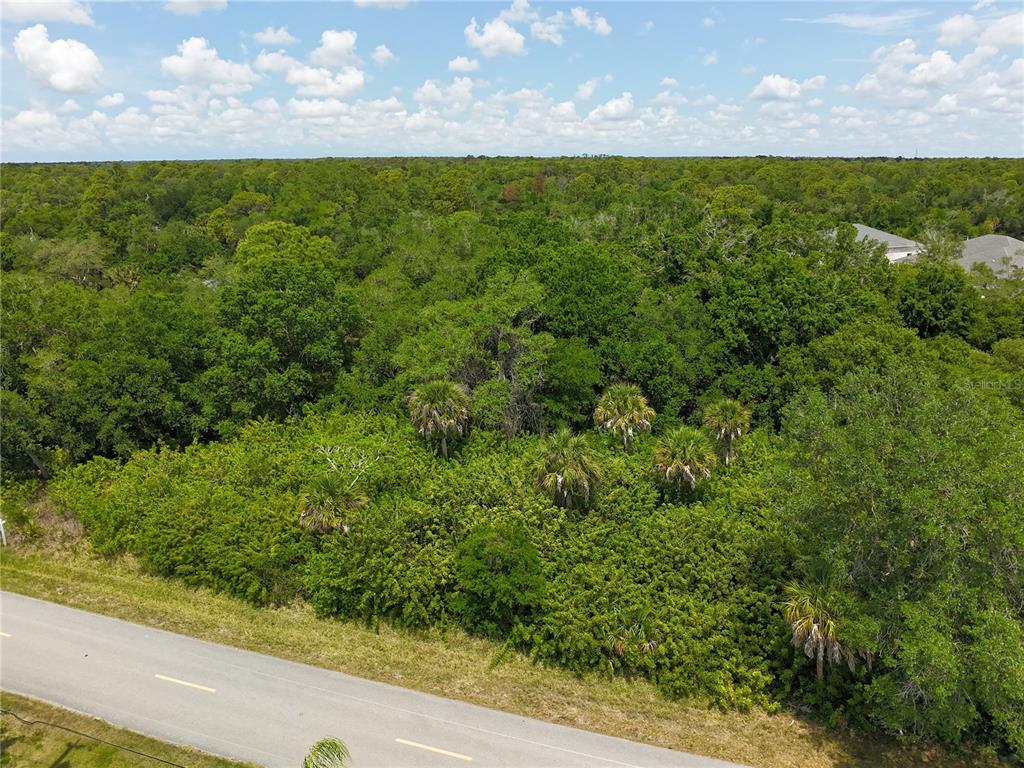 An aerial view shows a paved road bordering a dense, wooded lot with palm trees — 1189 EPPINGER DRIVE, PORT CHARLOTTE, FL