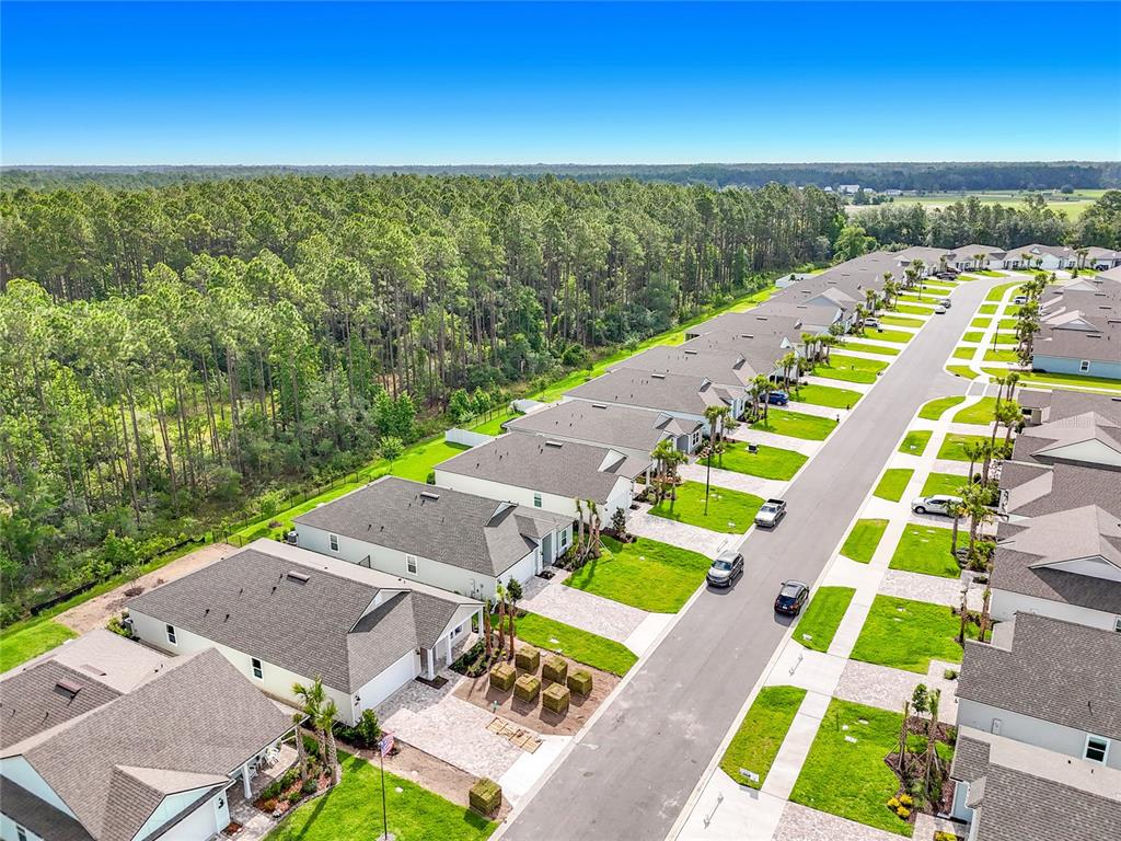 An aerial view shows a suburban street lined with single-family homes and adjacent pine forests — 153 GREENWOOD DRIVE, PALM COAST, FL