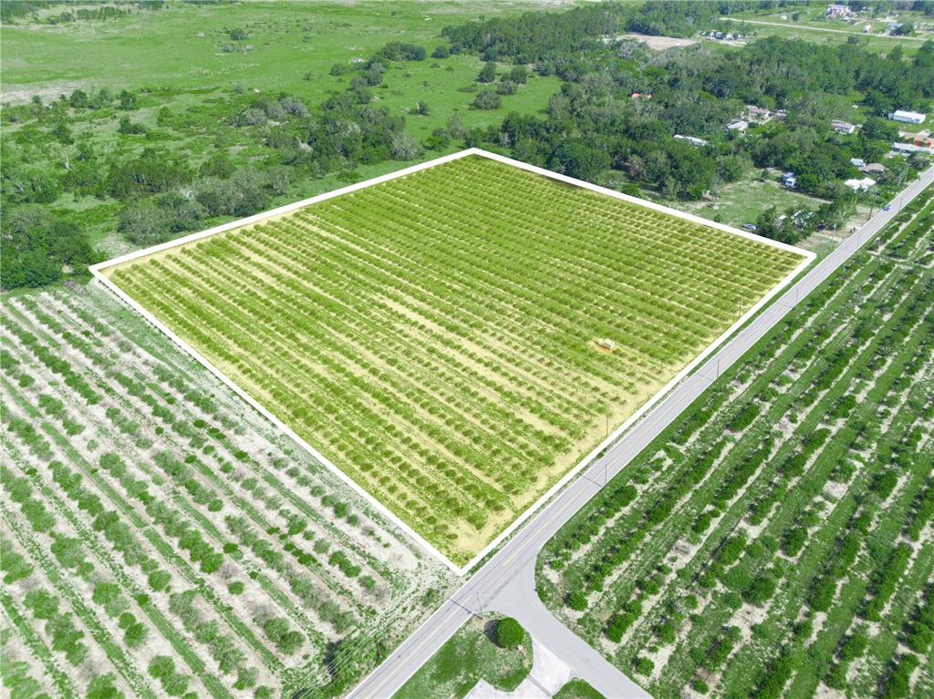 An aerial view shows a large, rectangular agricultural plot planted with rows of citrus trees — 0 HOPSON ROAD, FROSTPROOF, FL