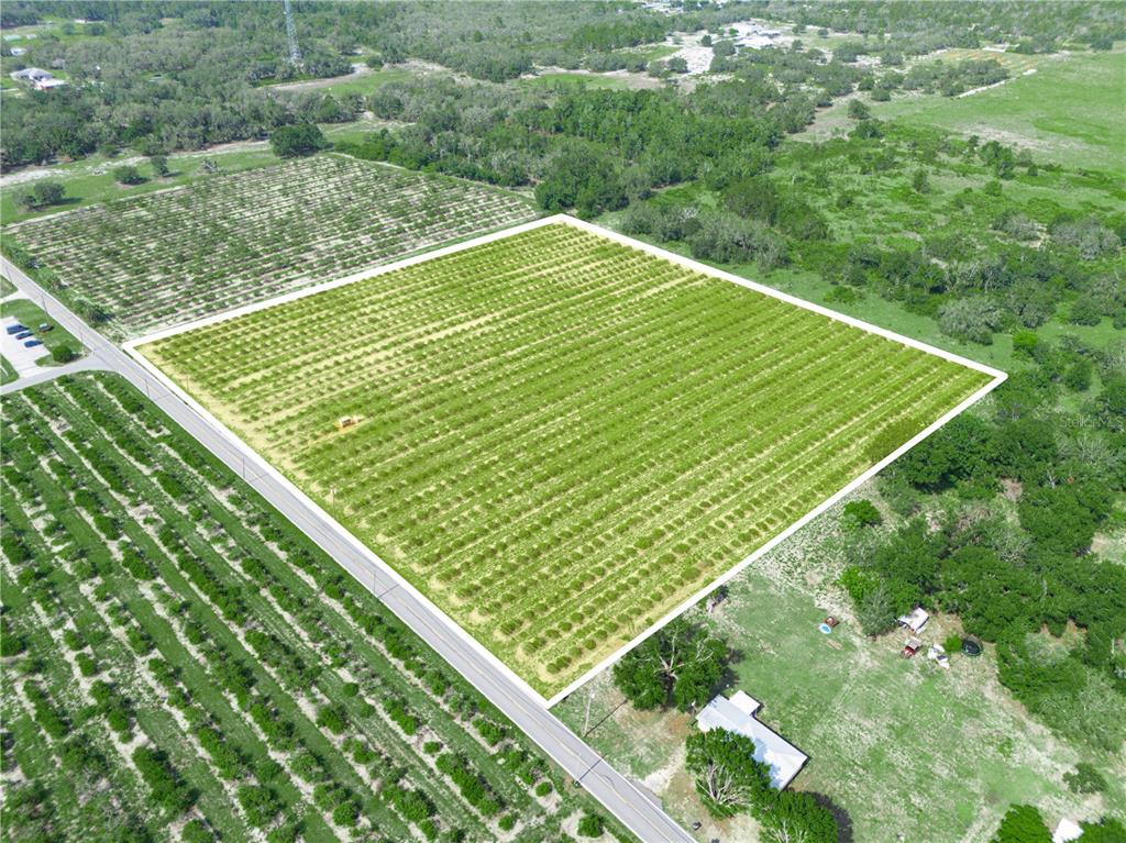 An aerial view shows a large, square agricultural field bordered by a road and trees — 0 HOPSON ROAD, FROSTPROOF, FL